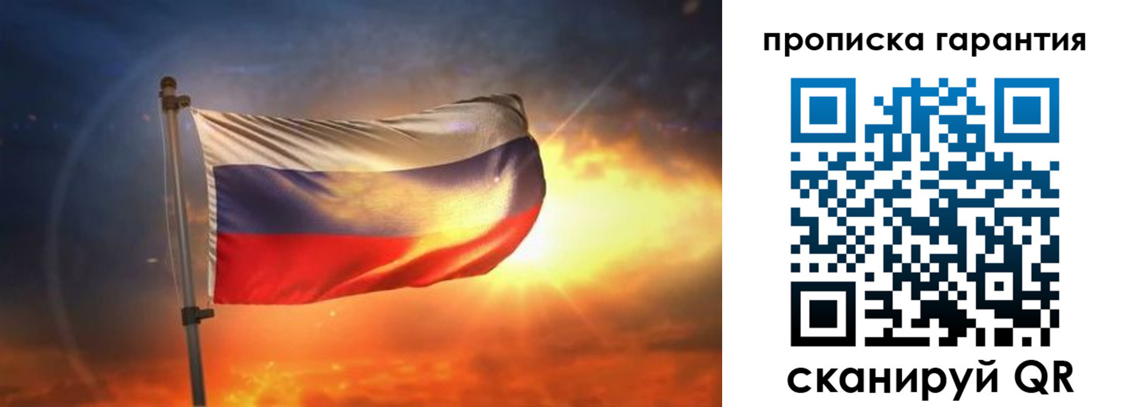 прописка для школы в Коле